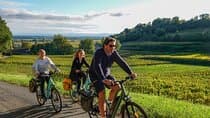 Saint-Émilion Wine Tour By Premium Electric Bike, Lunch Included