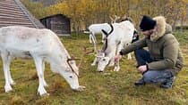 Sami Reindeer Experience