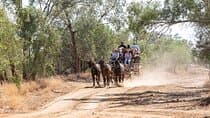 Cobb & Co Stagecoach Experience in Longreach