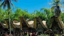 Explore Toraja Culture Heritage in 3 Days from Makassar