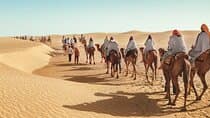 Douz Two Day Camel Trek with Overnight Camp in the Desert