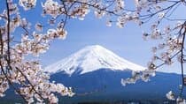 Full Day Private Tour to Mount Fuji And Lake Kawaguchi