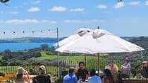 Waiheke Island Wine Tour with Scenic Vineyards & Tastings