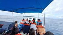 Snorkel tour Canyon island Drake Bay with Lunch