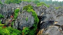 Stone Forest + Yiliang Roast Duck + Kunming City Private Tour