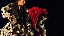 Santa Barbara Castle and Show Flamenco with transfers Alicante