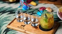 Shared Mezcal Tasting Experience in Valladolid Mexico