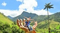 Private Tour Charm of Cocora Valley Salento and Philandia