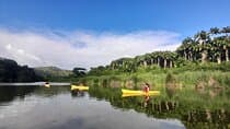 Rental Kayaking or Stand-up Paddle 2H