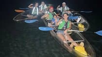 Biobay Vieques Tour Kayak Night Tour