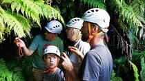 Pico Island highlights - Private tour (+ optional wine tasting)