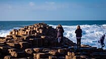 Giants Causeway Tour from Belfast: Antrim Coast & Dark Hedges