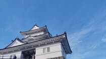 Odawara Castle Discovery of the Sengoku Samurai History