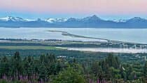 Port Homer Day Tour Wilderness, Wildlife and Beach Experience