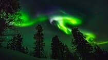 Levi Northern Lights Experience