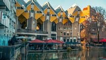 Rotterdam Highlights & Hidden Gems Walking Tour with Dutch Local