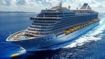 Busan Cruise Port - VIP Group Tour (Max 6 Guests)