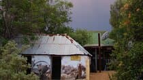 Historic Homestead Tour with Morning Tea