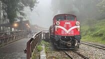 Alishan Day Tour from Chiayi (Incl. Park Entrance)