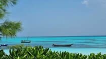 Mnemba Island Half Day Live Aquarium With Transfer - Zanzibar