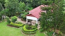 Guwahati Tea Garden Tour with Lunch & Hi Tea (Premium Experience)