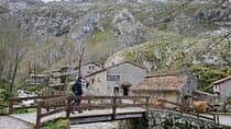 Picos de Europa: Bulnes, funicular and cheese Cabrales from Gijón