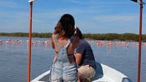 Flamingos Tour in Rio Lagartos Yucatan 2 hours