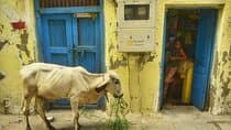 Heritage Walking Tour in Ahmedabad for an Immersive Experience