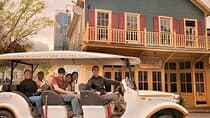 Charlotte’s Southern Elegance Guided Tour by Vintage Car