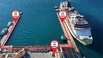 For Cruisers: Private/Group Ephesus & Mary Tour with Ticket+Lunch