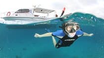 Boat Trip in Crete with Guided Snorkeling and Free Pick up!