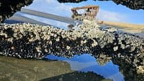  Full-Day Tour: 4 Coastal Towns + Haystack Rock & Chowder