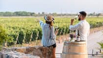 סיור וד degustation ב-3 יקבים ועץ זית אחד במאיפו