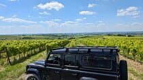 Cognac tour of the vineyard and visit/tasting at a winemaker