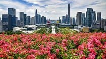 Shenzhen Private Guide Day Tour with Car Service