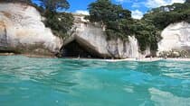 Cathedral Cove & Coromandel Peninsula Small-Group Day Tours 
