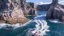Cathedral Cove Scenic Cruises Whitianga
