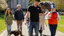 שביל החירות של בוסטון: סיור הליכה מהפכני