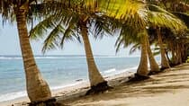 Upolu: Private Tour - Beach, Waterfall and Ocean Trench
