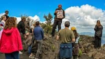 Naples: Pompeii & Mt Vesuvius All-Inclusive Small Group w/ Lunch
