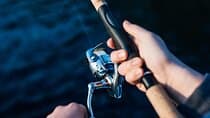 Zakynthos VIP Small Group Fishing Trip Catch and Cook Experience