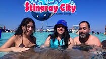 עיר הסטינגריים וחוויית כוכבי הים עם שנורקלינג בשונית האלמוגים