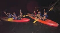 CLEAR BOTTOM KAYAKS Tour in Bioluminescent, Mosquito Bay
