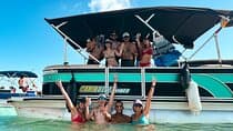 Marine Safari Tour: Discover the 7 Colors of the San Andreas Sea
