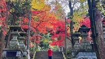 Private Hiking Tour with a certified national guide in Hakone