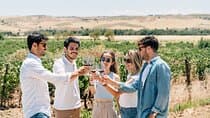 סיור בעיר טולדו, חוויית יקב וטעימת יין ממדריד