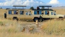 3 Day Private Trekking and Transfer to National Park 