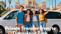Los Angeles Airport(LAX): Private Transfer to/from Disneyland