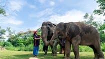 סיור קבוצות קטנות במקלט ה-elephants בפוקט