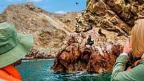 Lima: Ballestas Islands and Slave tunnels Full Day Tour